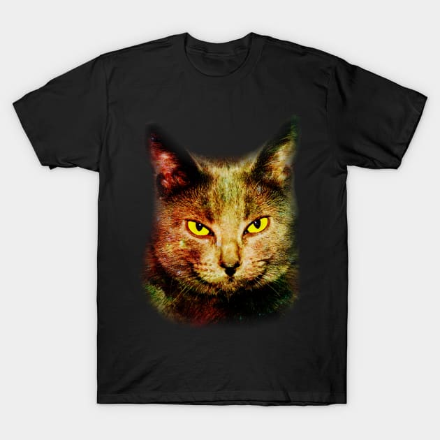 Eye Contact T-Shirt by Anastasiya Malakhova